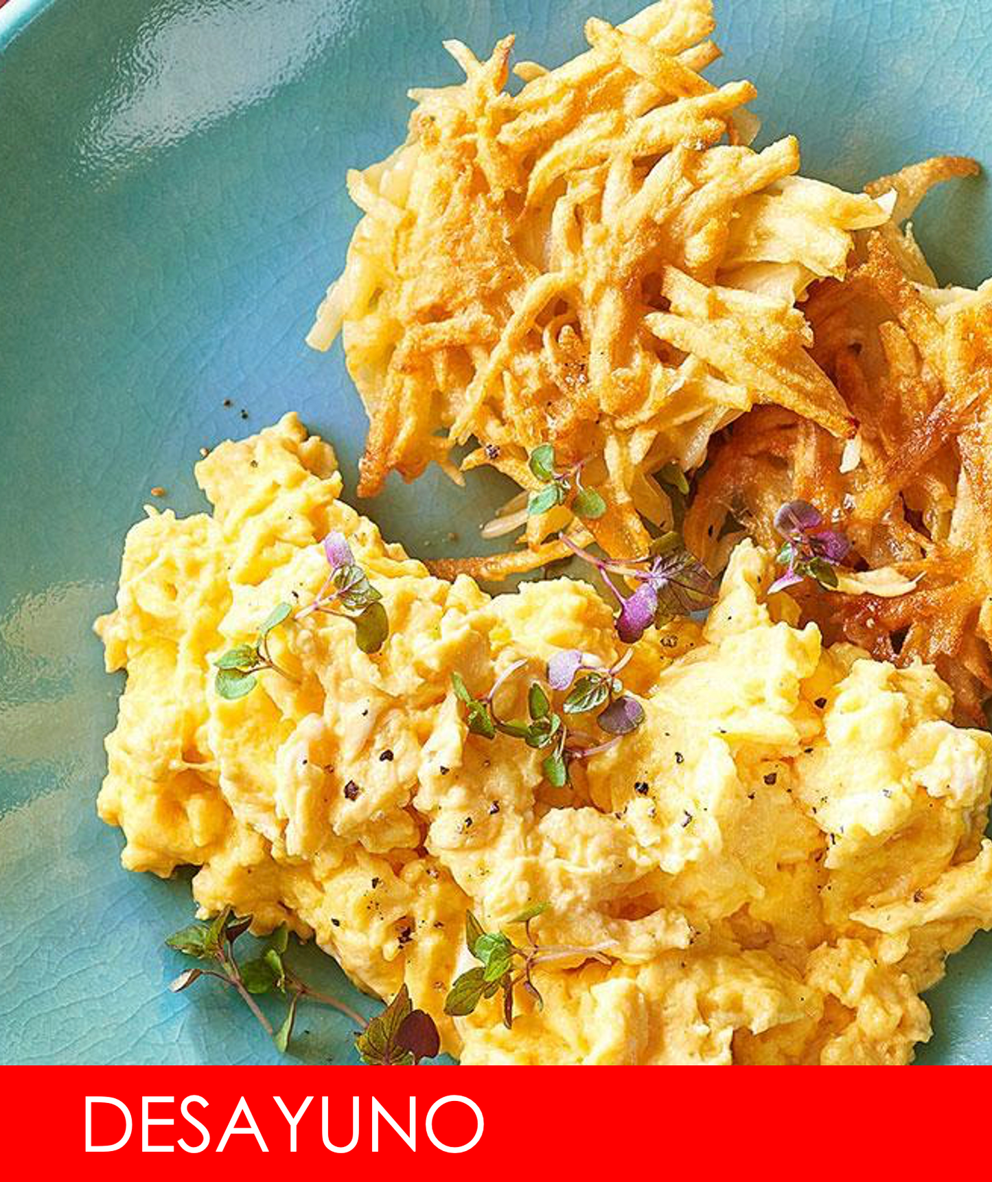 FNB006 Revoltillo Jamon Queso y Vegetales con Hashbrowns