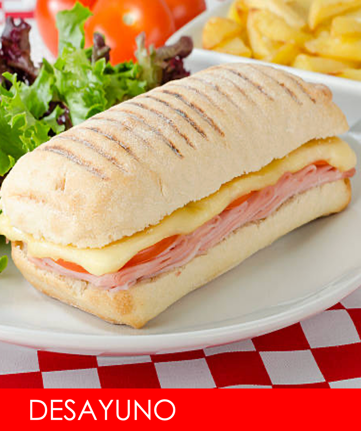 FNB005 - Ciabatta de Jamon, Queso y Huevo